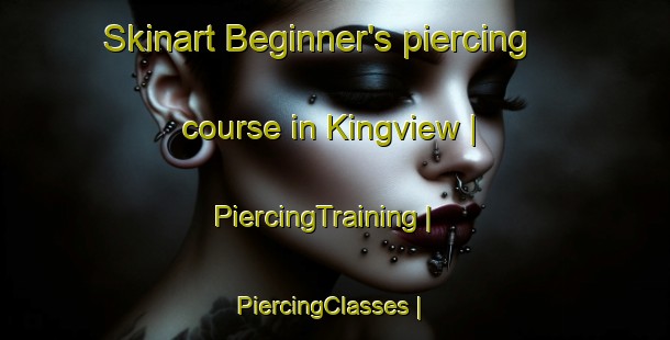 Skinart Beginner's piercing course in Kingview | PiercingTraining | PiercingClasses | SkinartTraining-United States